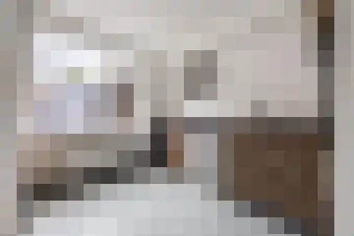 Kastanjelaan 256 Bergen op Zoom thumbnail 24