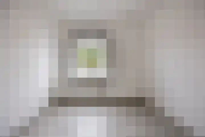 Kastanjelaan 256 Bergen op Zoom thumbnail 33