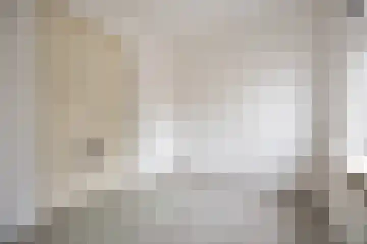 Kastanjelaan 256 Bergen op Zoom thumbnail 34