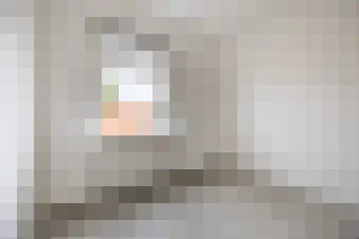Kastanjelaan 256 Bergen op Zoom thumbnail 35