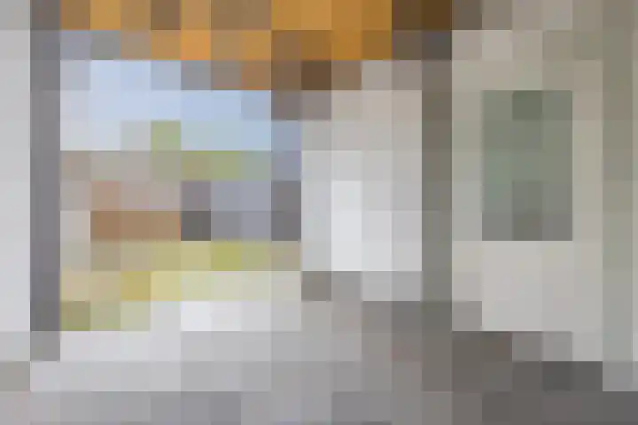 Kastanjelaan 256 Bergen op Zoom thumbnail 36