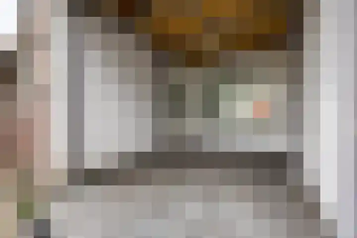 Kastanjelaan 256 Bergen op Zoom thumbnail 37
