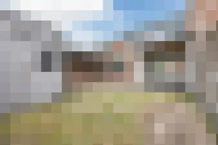 Kastanjelaan 256 Bergen op Zoom thumbnail 39