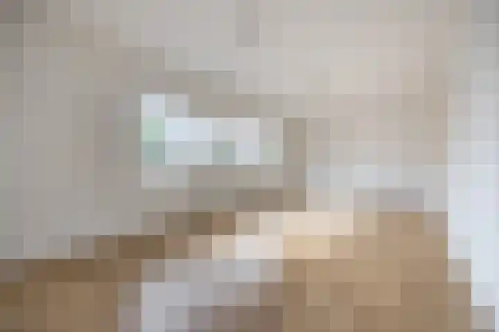 Kastanjelaan 256 Bergen op Zoom thumbnail 4