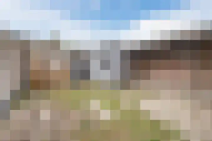 Kastanjelaan 256 Bergen op Zoom thumbnail 41