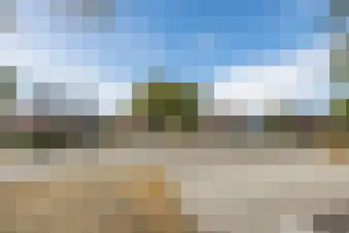 Kastanjelaan 256 Bergen op Zoom thumbnail 43