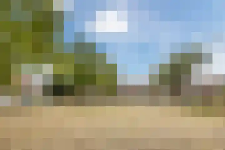 Kastanjelaan 256 Bergen op Zoom thumbnail 44