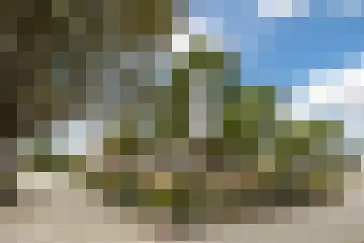 Kastanjelaan 256 Bergen op Zoom thumbnail 45