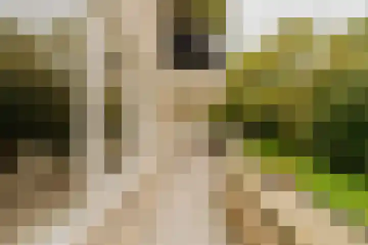 Kastanjelaan 259 Amstelveen thumbnail 13