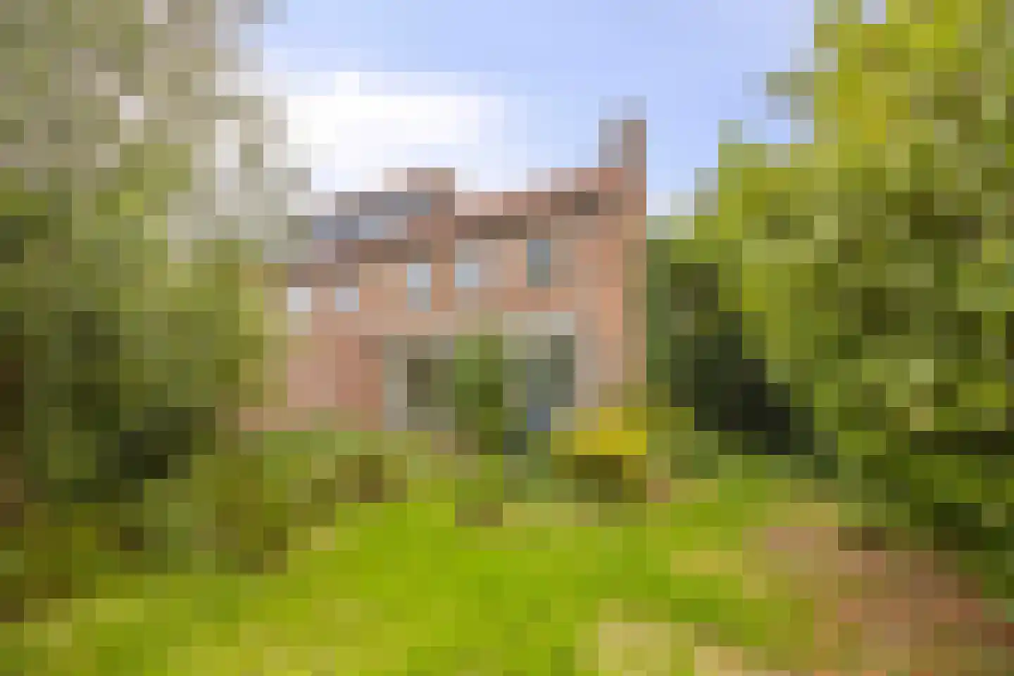Kastanjelaan 26 Alblasserdam