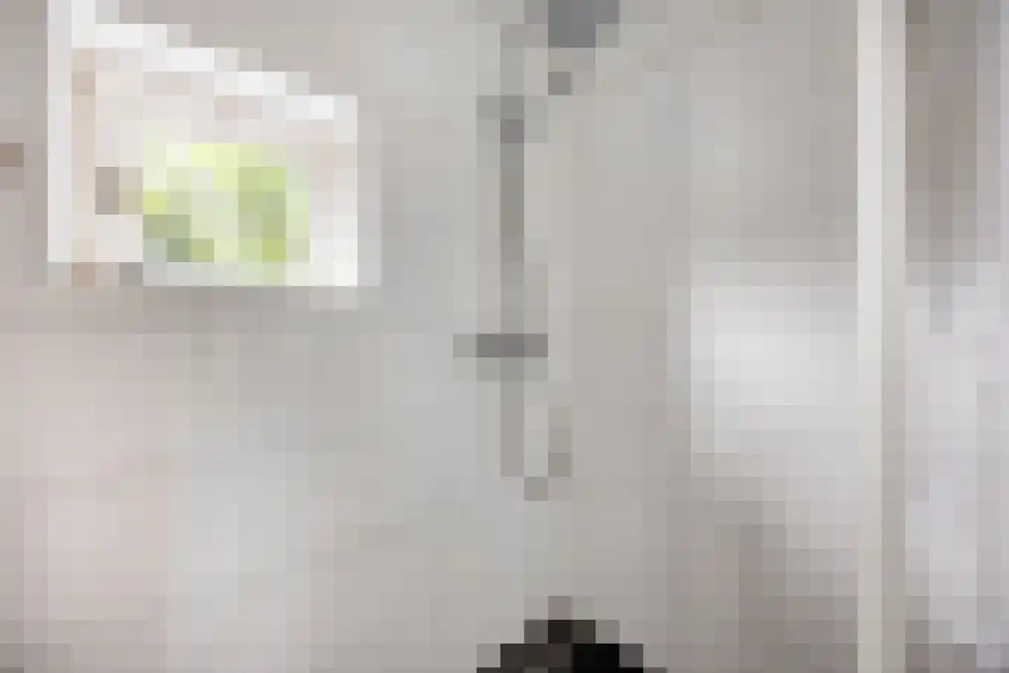 Kastanjelaan 26 Alblasserdam thumbnail 16