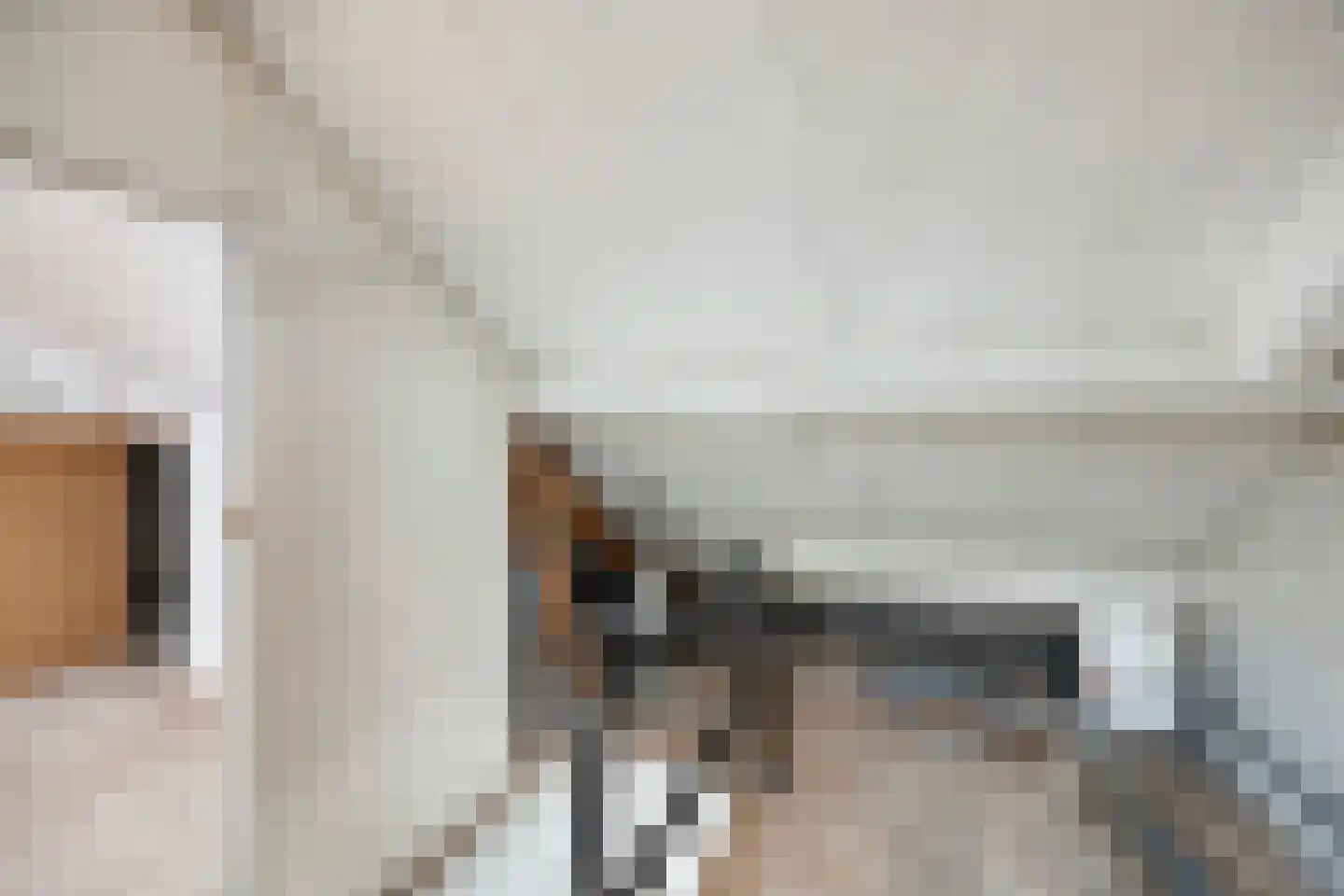 Kastanjelaan 26 Alblasserdam thumbnail 21