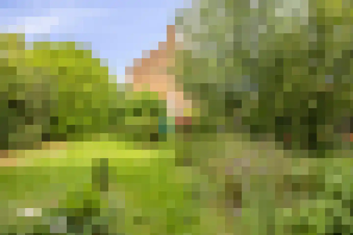 Kastanjelaan 26 Alblasserdam thumbnail 23