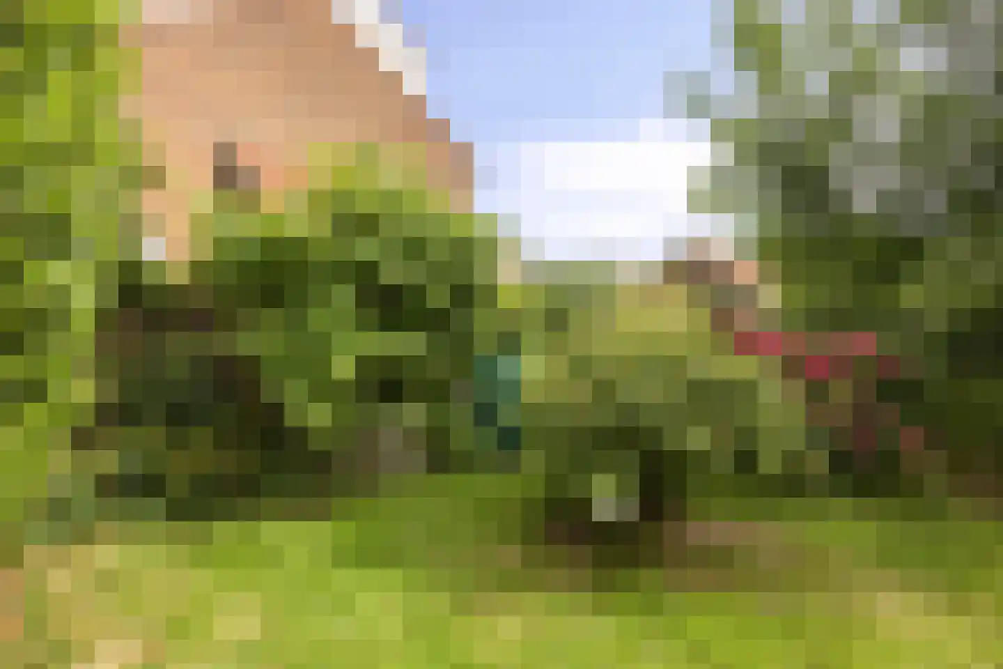 Kastanjelaan 26 Alblasserdam thumbnail 24