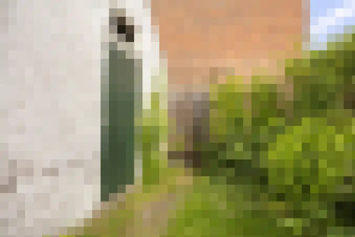 Kastanjelaan 26 Alblasserdam thumbnail 25