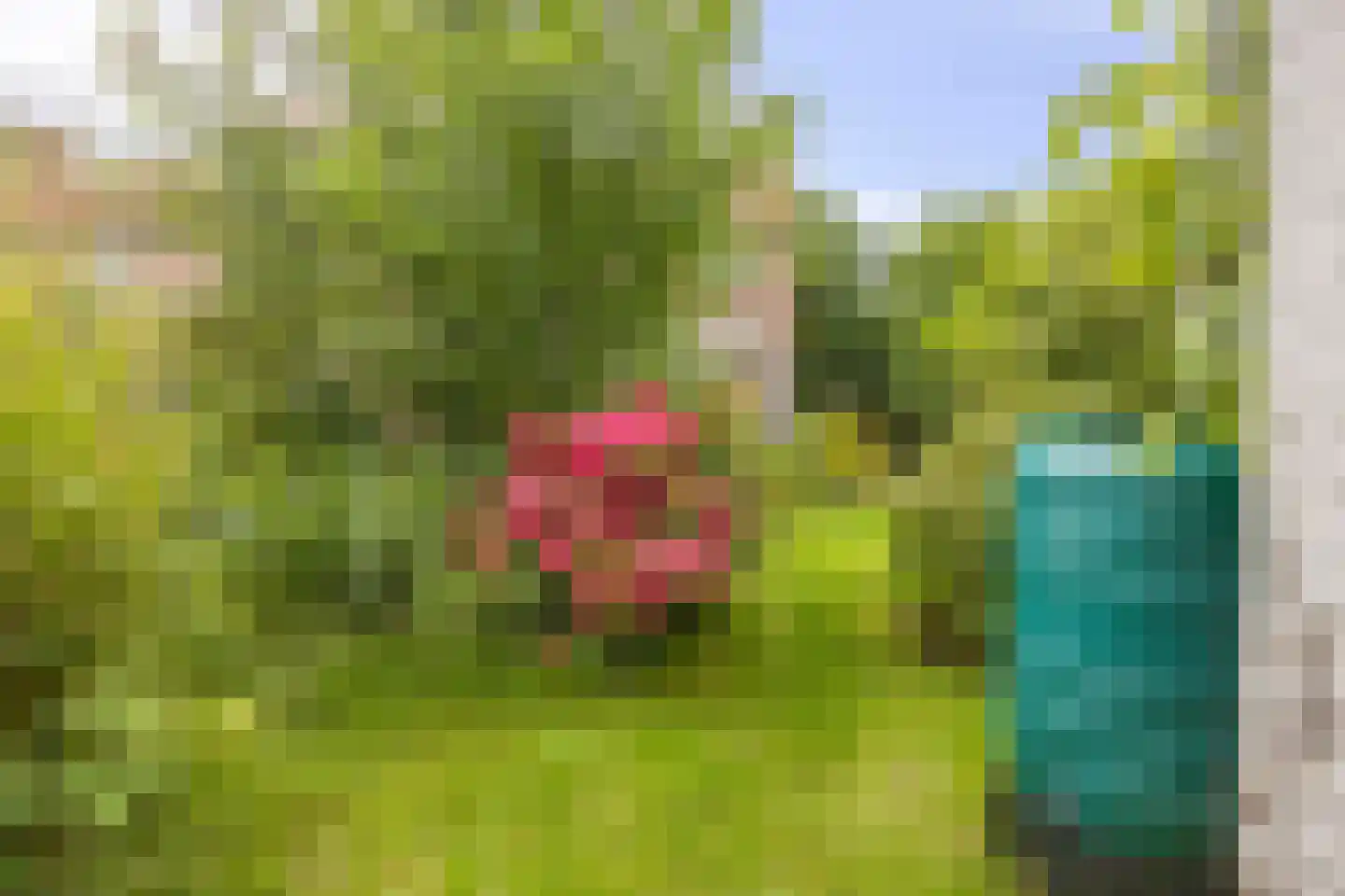 Kastanjelaan 26 Alblasserdam thumbnail 26