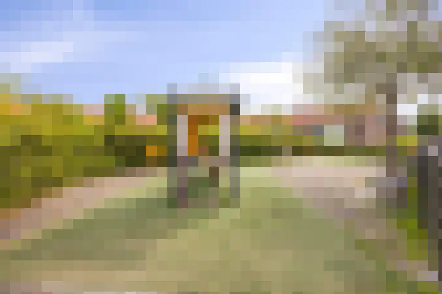Kastanjelaan 26 Alblasserdam thumbnail 27