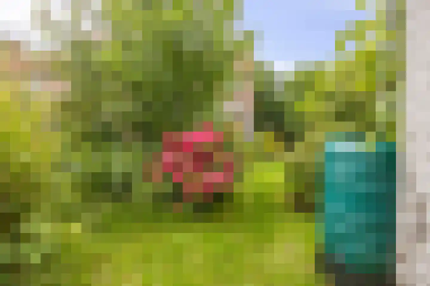 Kastanjelaan 26 Alblasserdam thumbnail 27