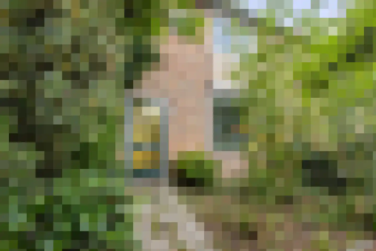 Kastanjelaan 26 Alblasserdam thumbnail 4