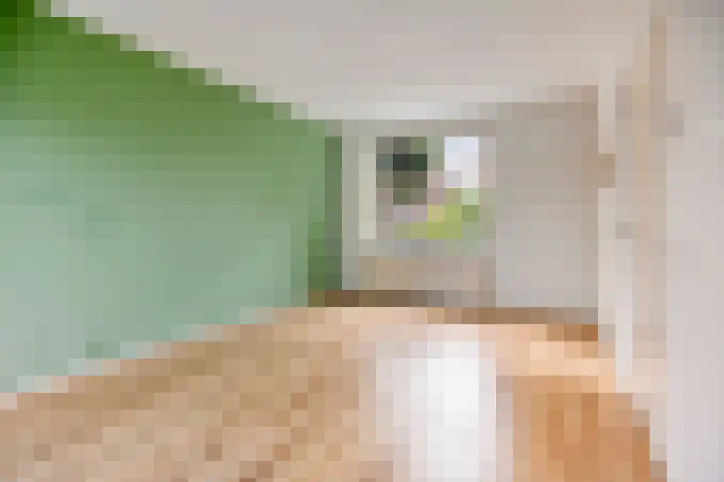 Kastanjelaan 26 Alblasserdam thumbnail 9