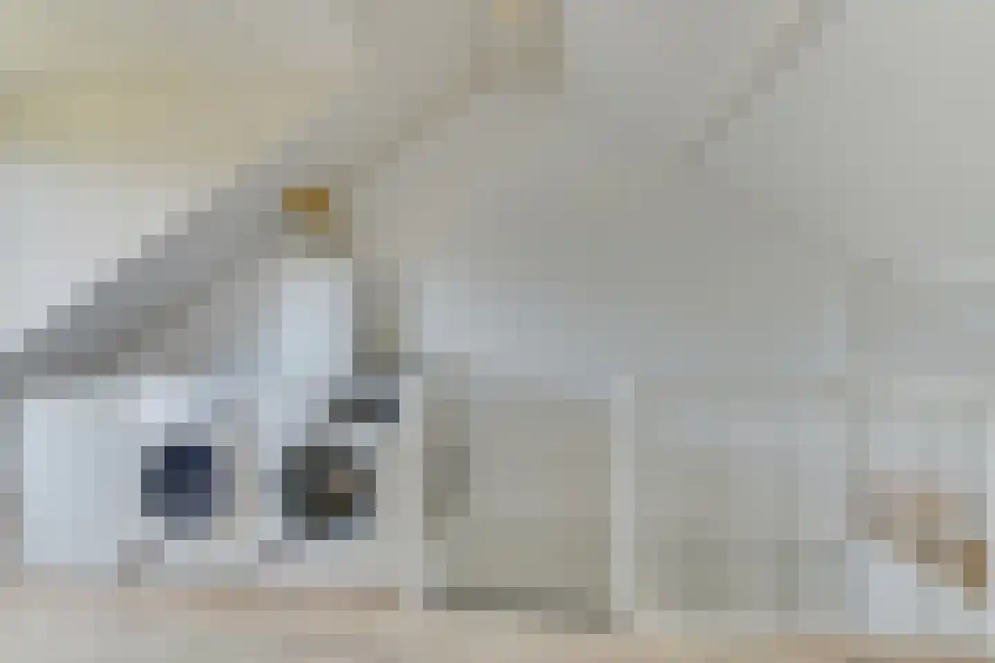 Kastanjelaan 26 Heerhugowaard thumbnail 35
