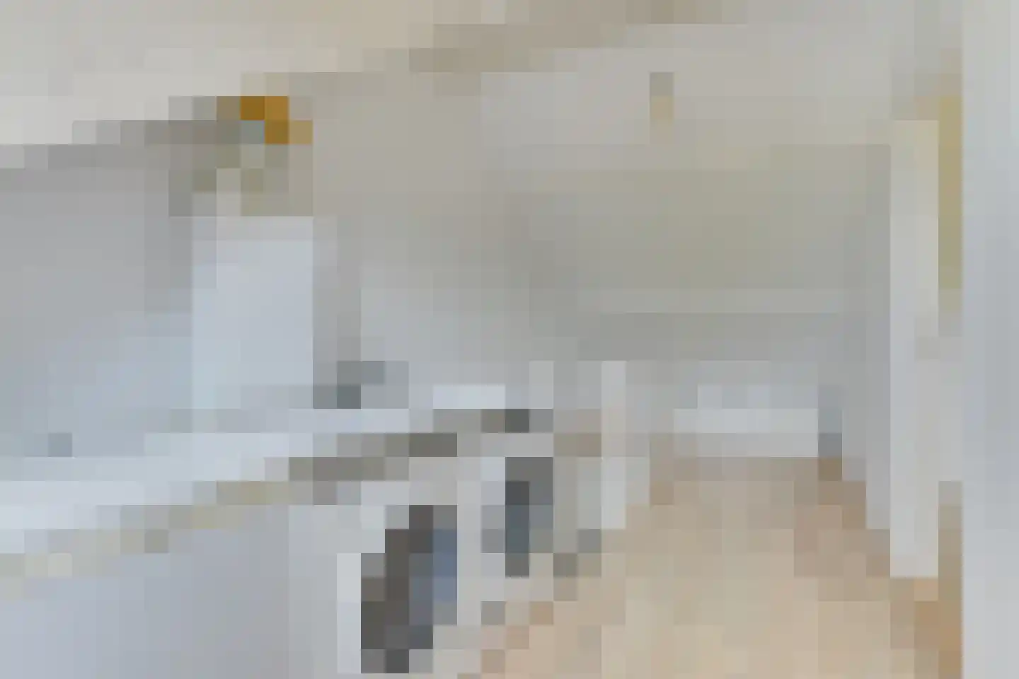 Kastanjelaan 26 Heerhugowaard thumbnail 37