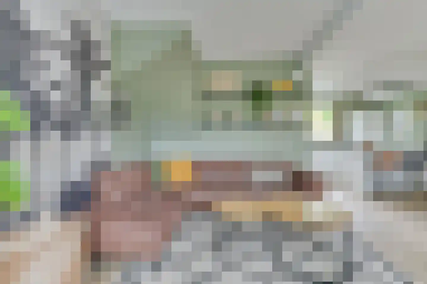 Kastanjelaan 26 Heerhugowaard thumbnail 9
