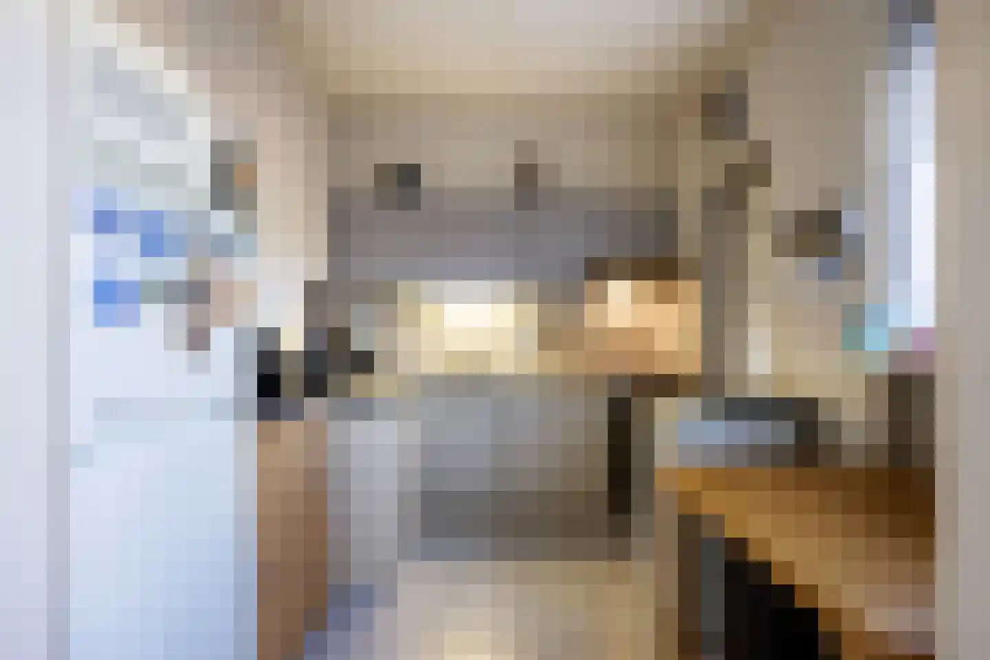 Kastanjelaan 26 Marum thumbnail 12