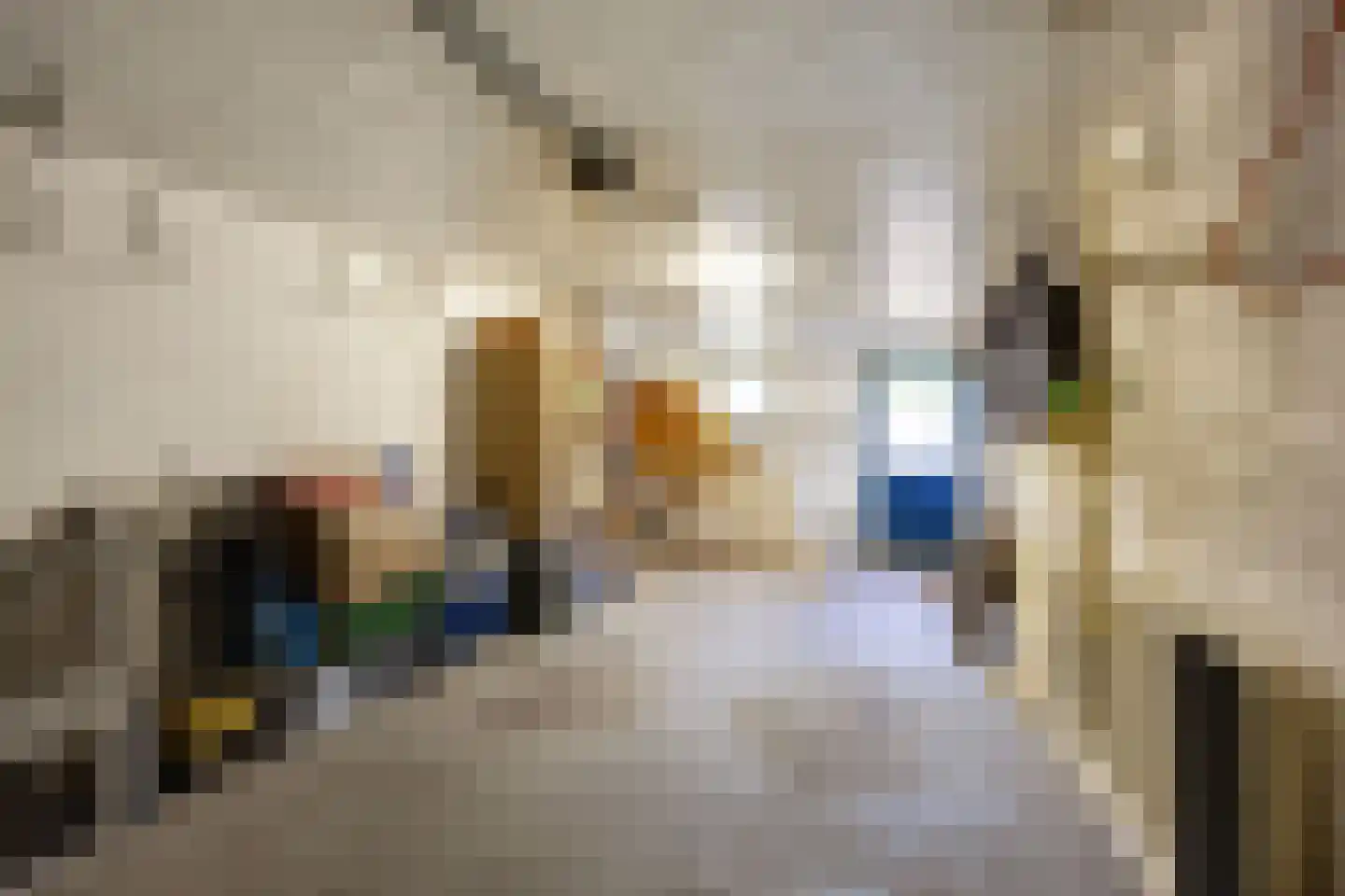 Kastanjelaan 26 Marum thumbnail 16