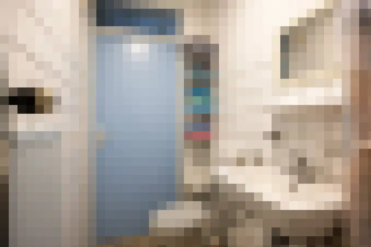 Kastanjelaan 26 Marum thumbnail 27