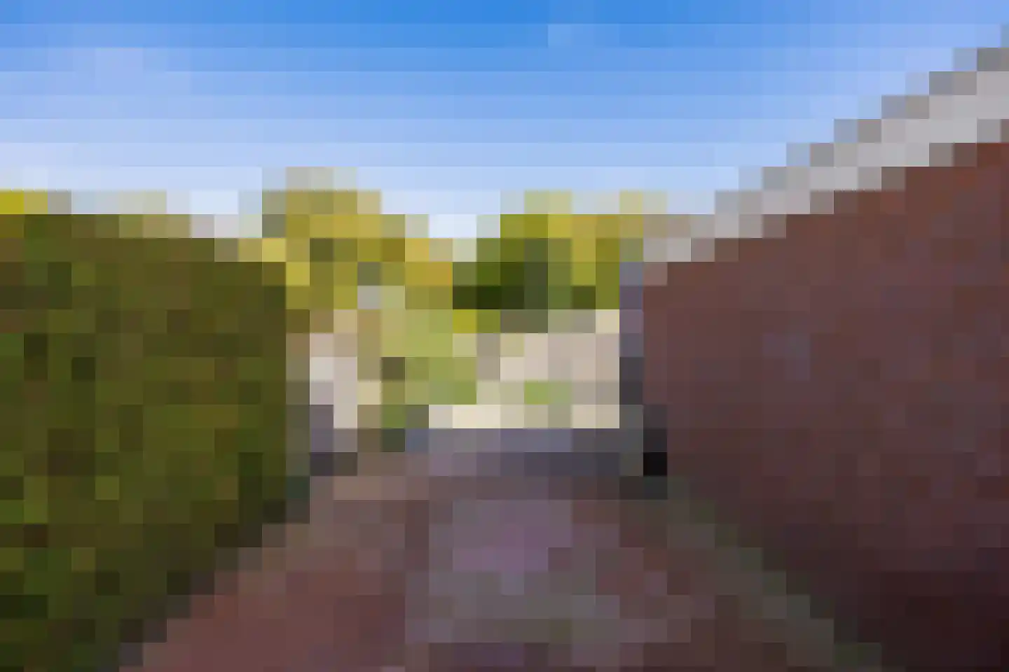 Kastanjelaan 26 Marum thumbnail 30