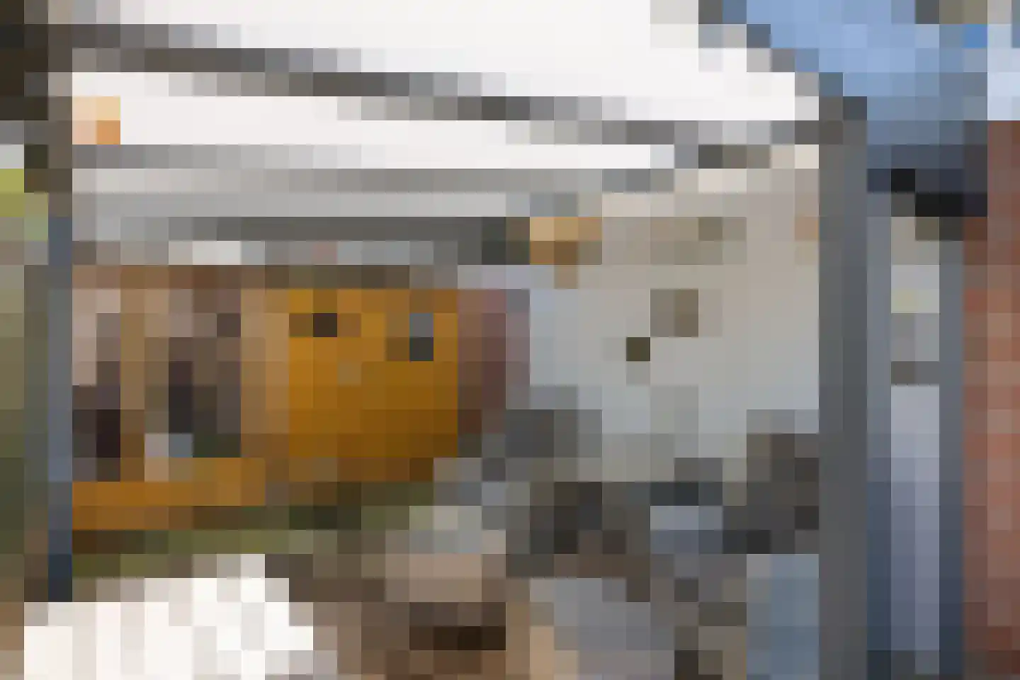 Kastanjelaan 26 Marum thumbnail 35