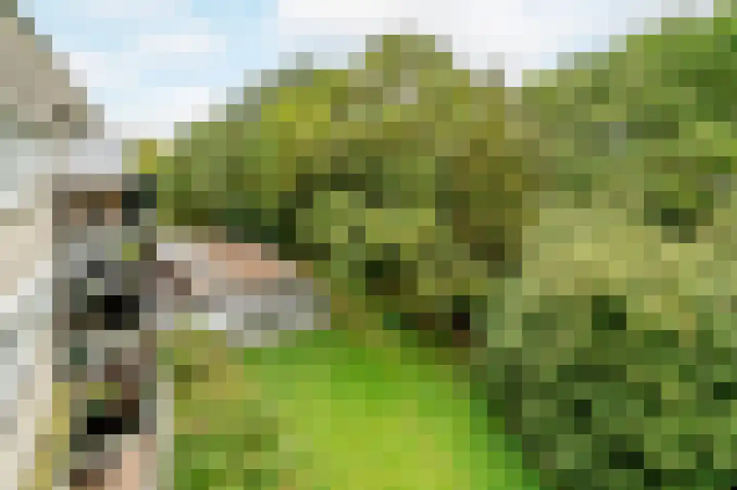 Kastanjelaan 269 Amstelveen thumbnail 14