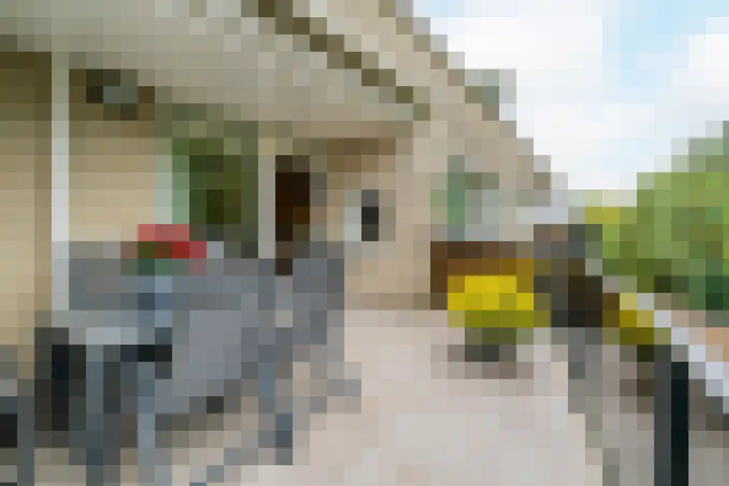 Kastanjelaan 269 Amstelveen thumbnail 15
