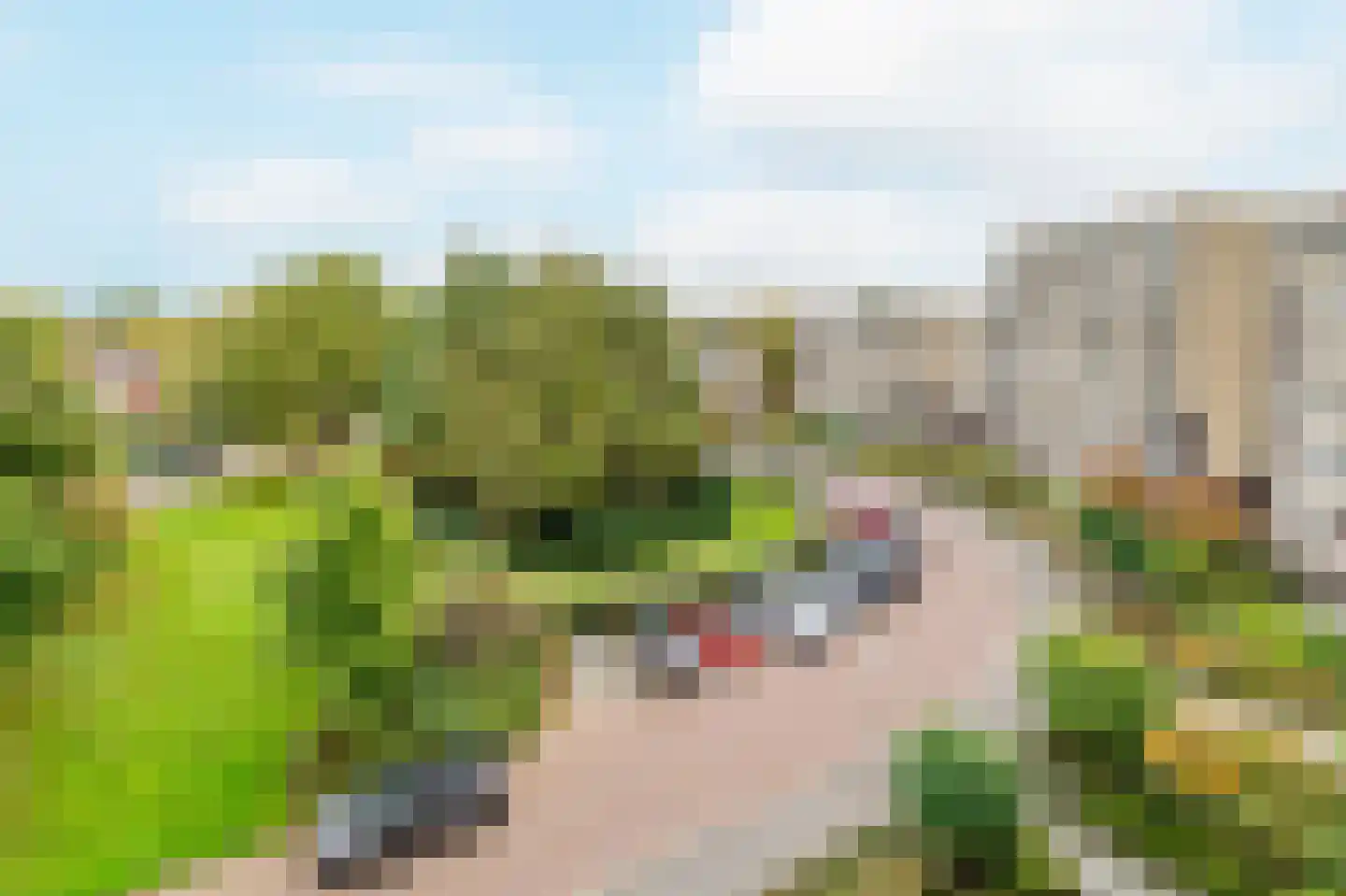 Kastanjelaan 269 Amstelveen thumbnail 37