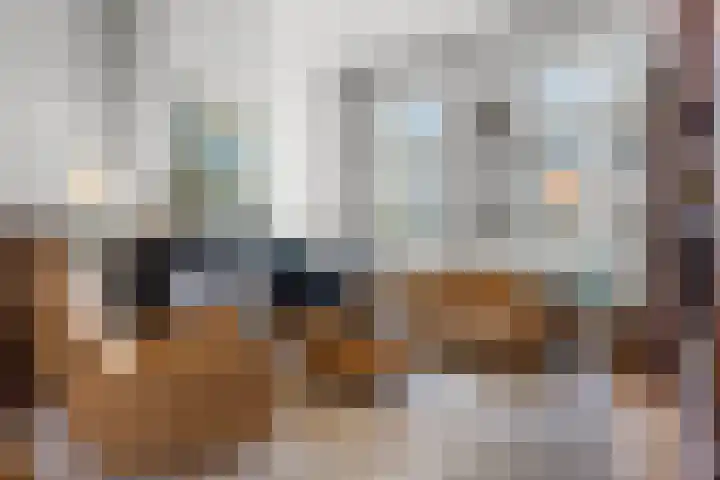 Kastanjelaan 27 Arnhem thumbnail 10