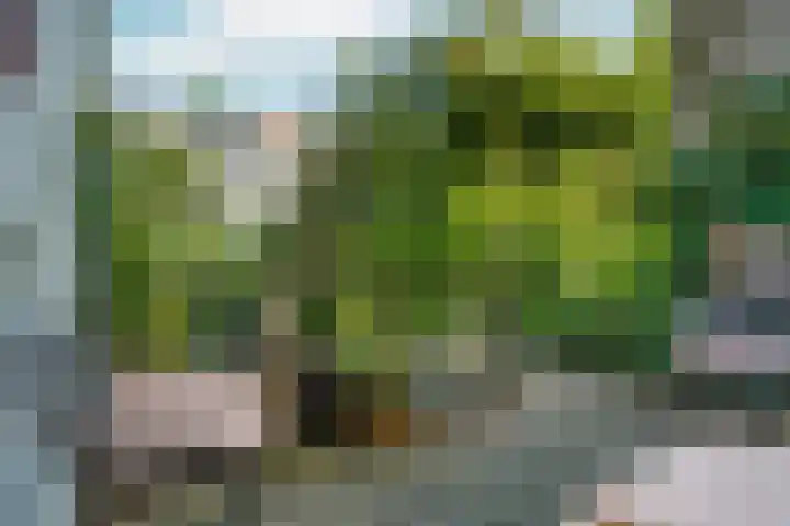Kastanjelaan 27 Arnhem thumbnail 21