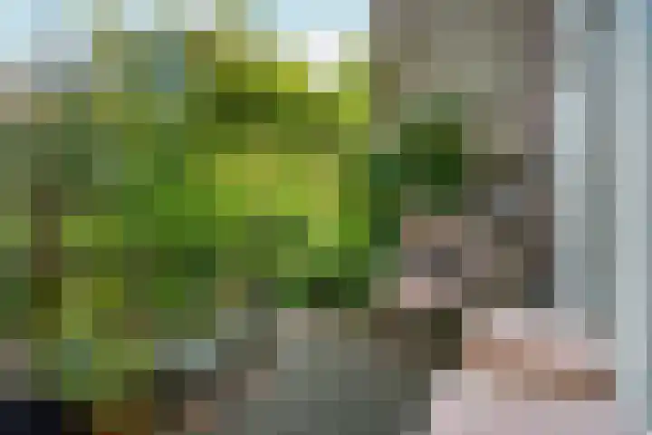 Kastanjelaan 27 Arnhem thumbnail 22