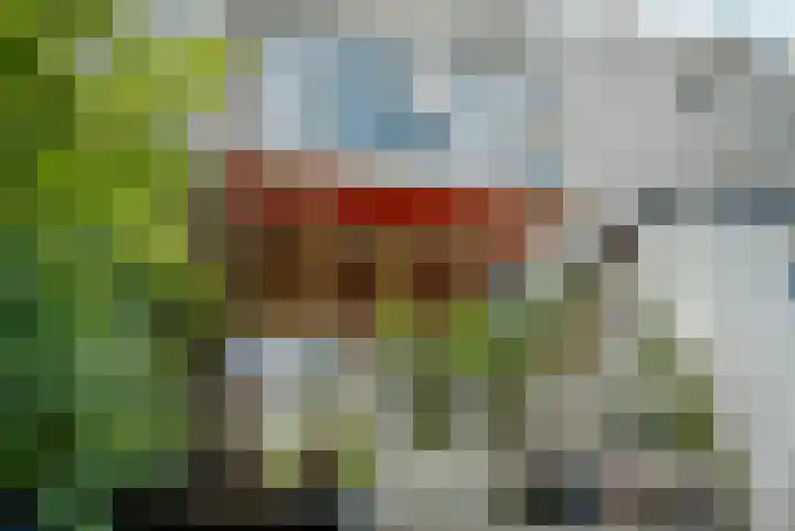 Kastanjelaan 27 Arnhem thumbnail 23