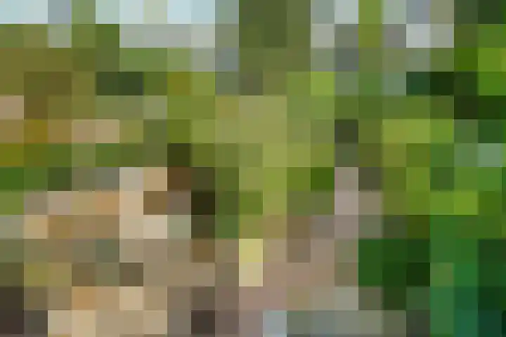 Kastanjelaan 27 Arnhem thumbnail 24