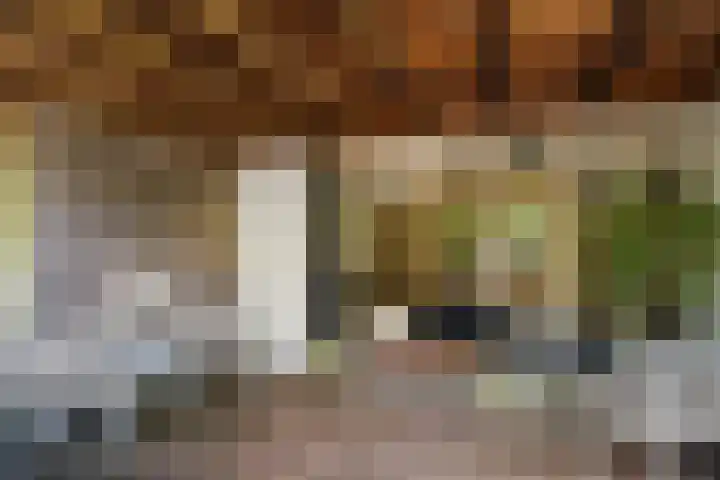 Kastanjelaan 27 Arnhem thumbnail 31