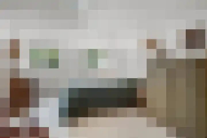 Kastanjelaan 27 Arnhem thumbnail 33