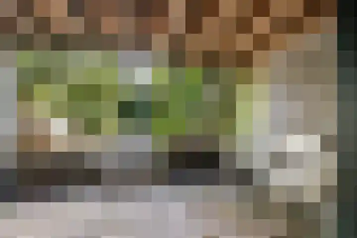 Kastanjelaan 27 Arnhem thumbnail 36