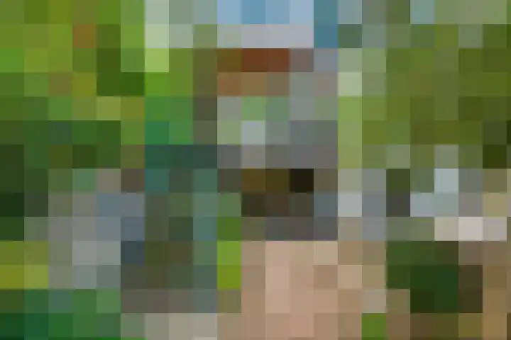 Kastanjelaan 27 Arnhem thumbnail 37