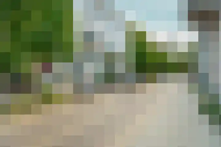 Kastanjelaan 27 Arnhem thumbnail 4