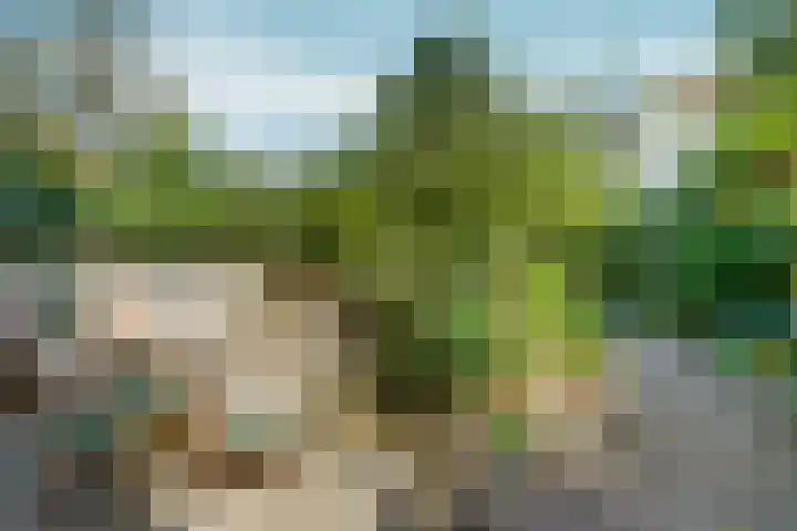 Kastanjelaan 27 Arnhem thumbnail 40