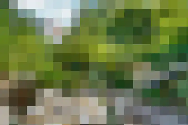 Kastanjelaan 27 Arnhem thumbnail 41
