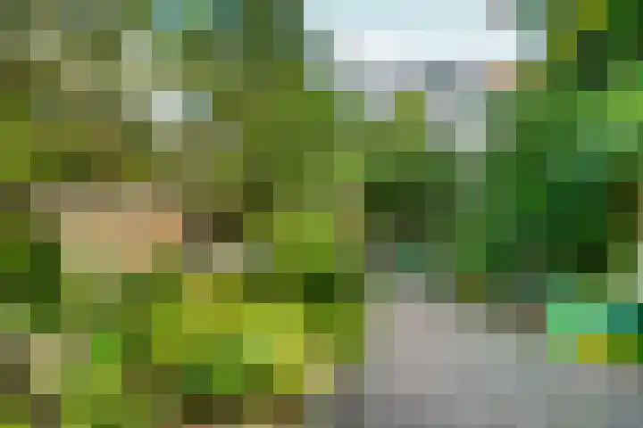 Kastanjelaan 27 Arnhem thumbnail 42