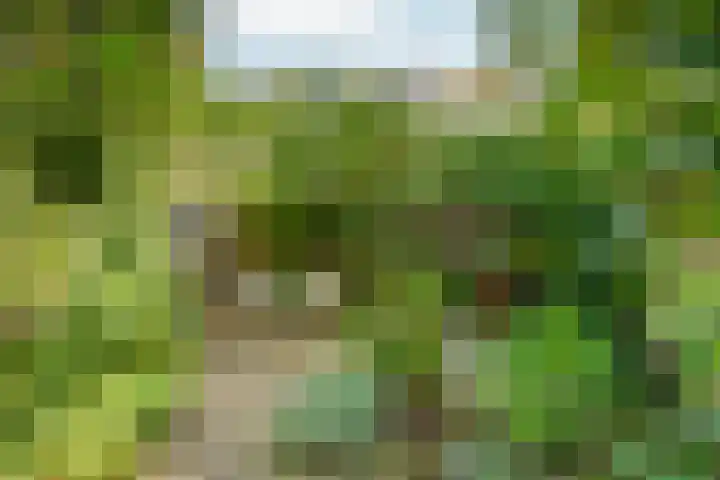 Kastanjelaan 27 Arnhem thumbnail 44