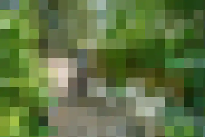 Kastanjelaan 27 Arnhem thumbnail 45